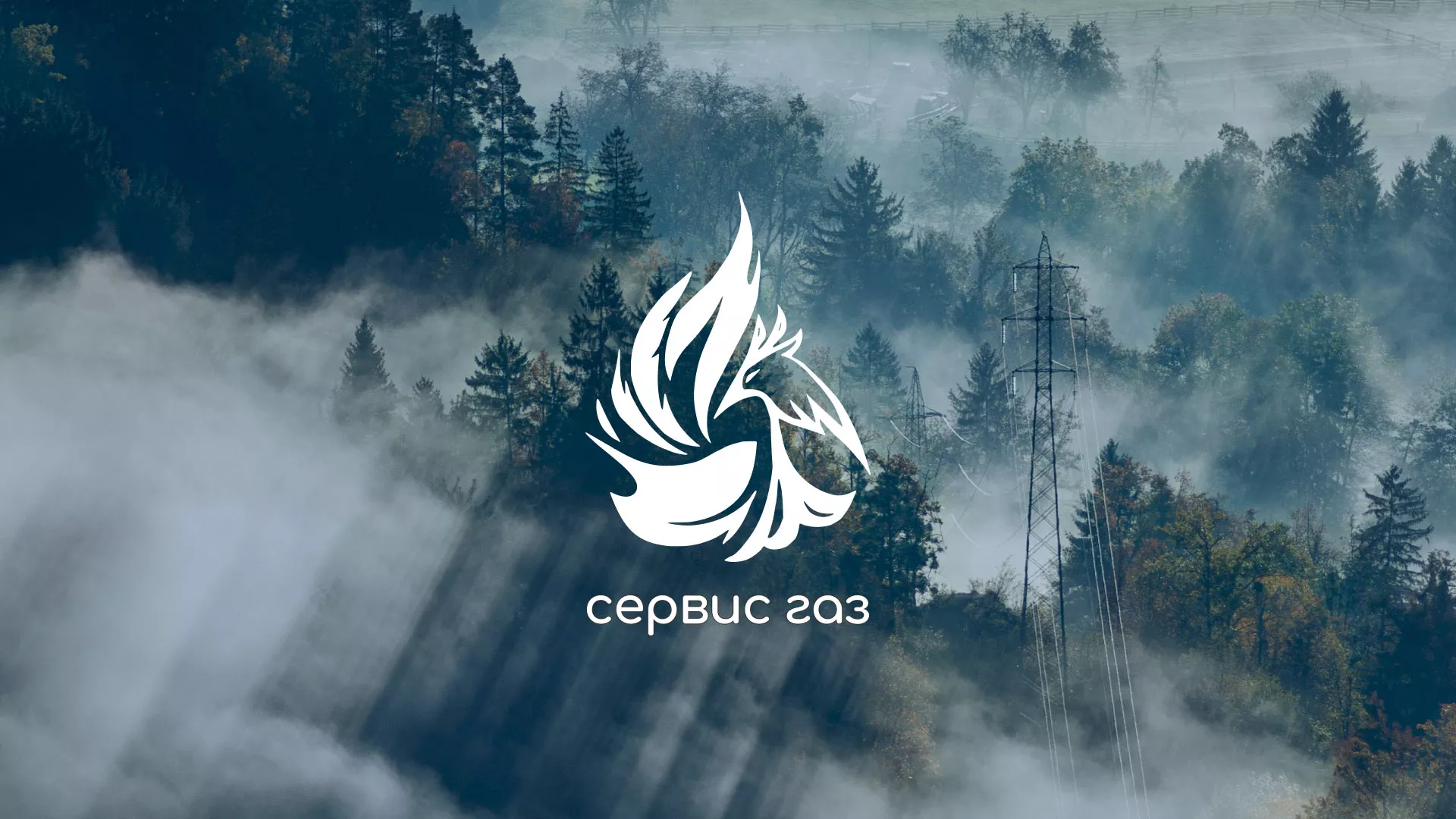 Создание сайта компании «Сервис газ» в Елизово