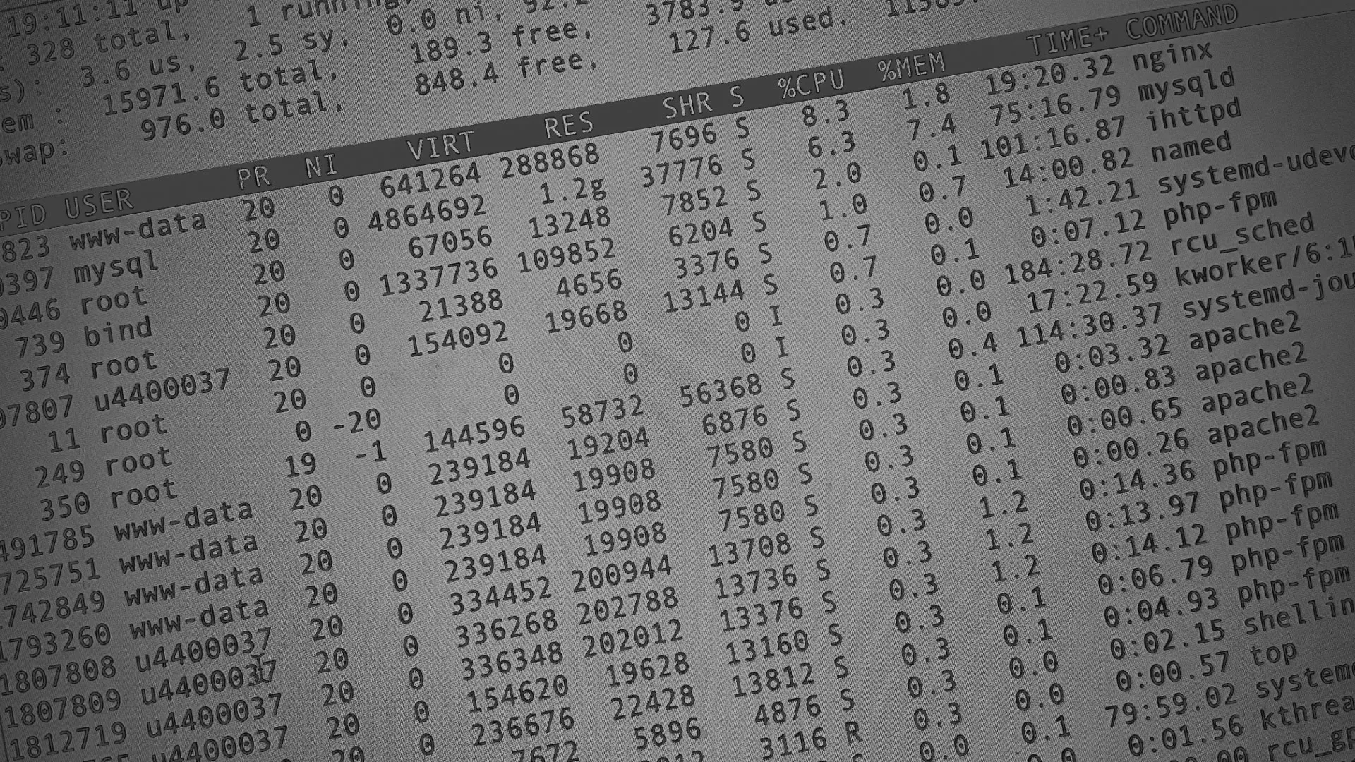 Настройка сервера в Елизово