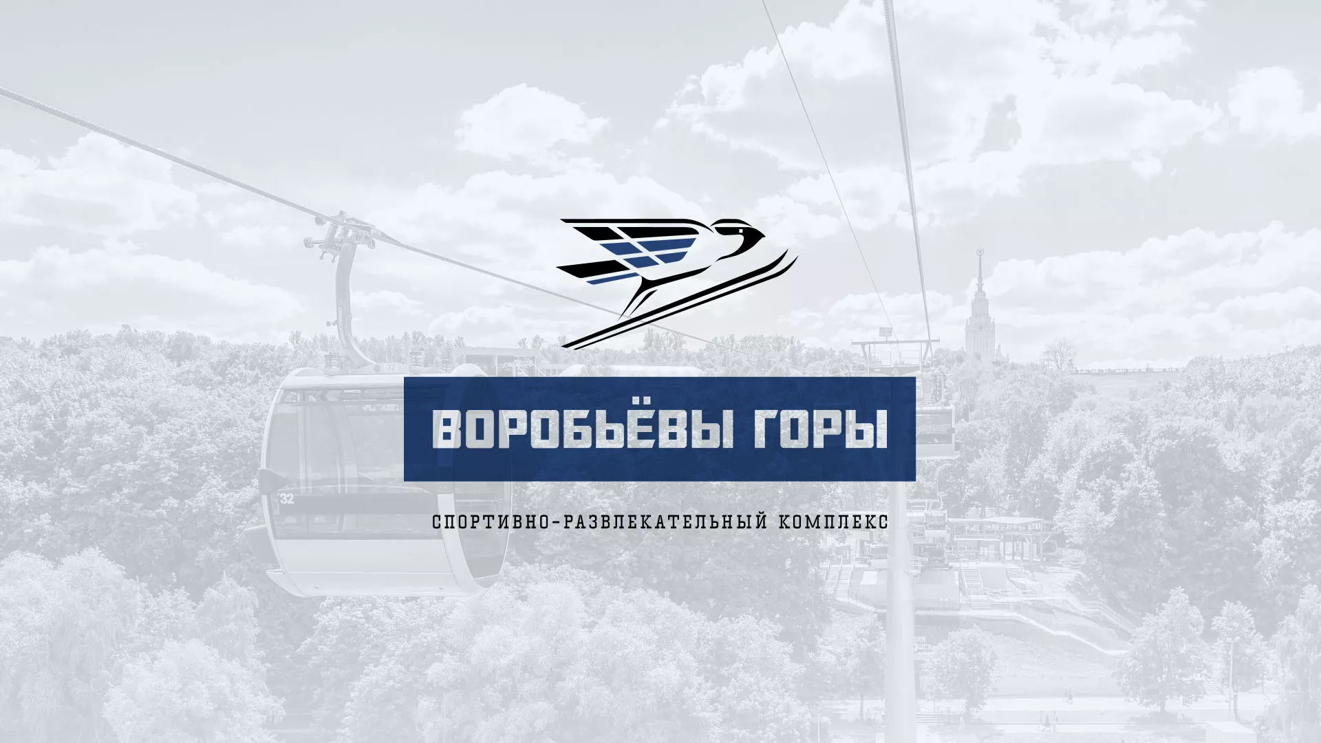 Разработка сайта в Елизово для спортивно-развлекательного комплекса «Воробьёвы горы»