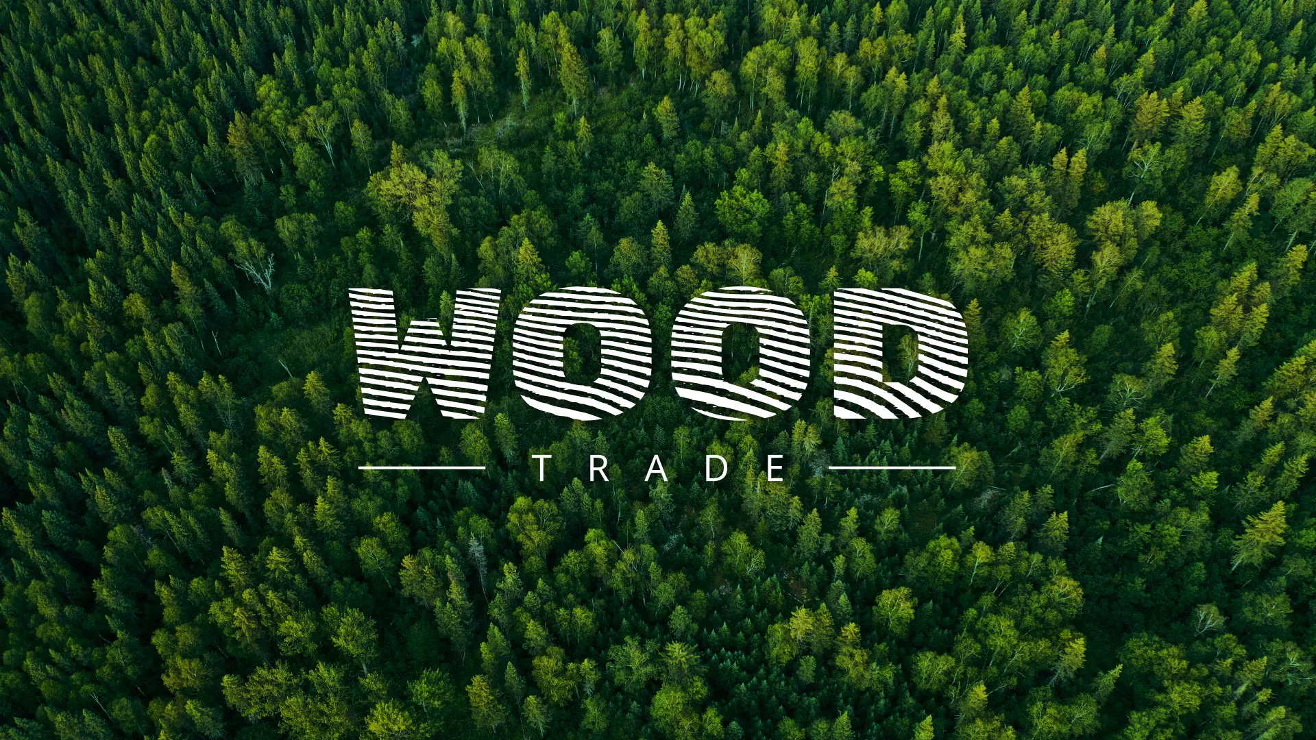 Разработка интернет-магазина компании «Wood Trade» в Елизово