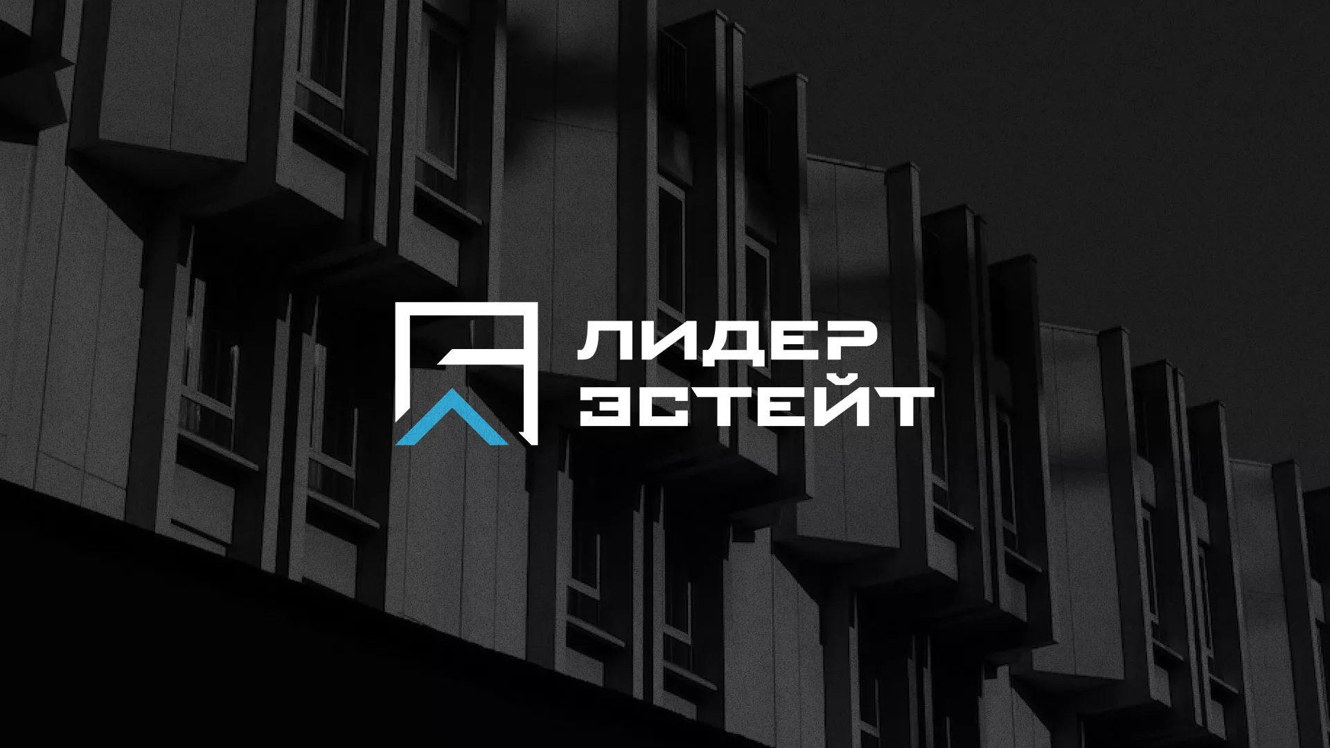 Разработка логотипа агентства недвижимости «Лидер Эстейт» в Елизово