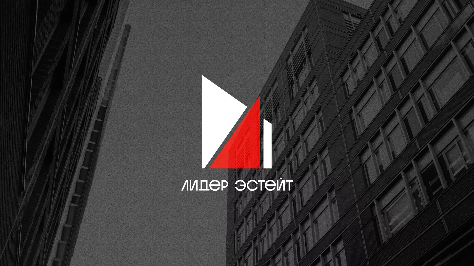 Сделали логотип для агентства недвижимости «Лидер Эстейт» в Елизово