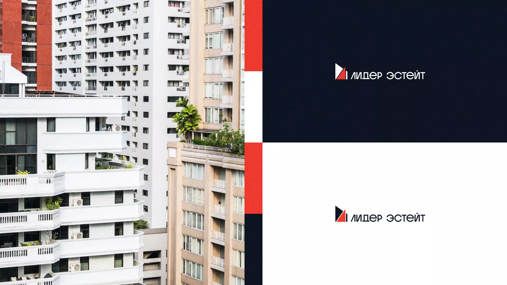 Сделали логотип для агентства недвижимости «Лидер Эстейт» в Елизово